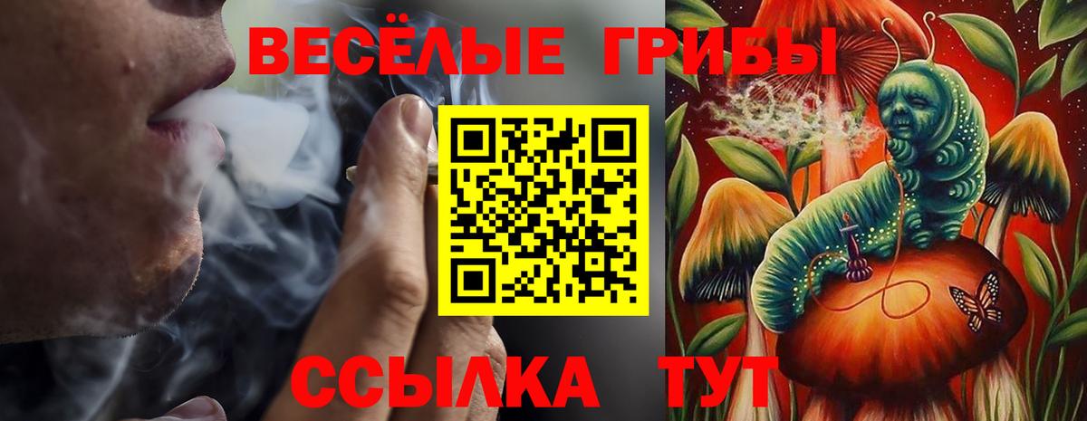 Ликино-Дулёво  Галлюциногенные грибы MAGIC MUSHROOMS  Вход с VPN 